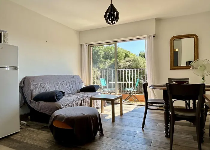 Appartement Coquet A Collioure, Proche Plage, Parking Privatif, Animaux Acceptes, Menage Inclus - Fr-1-225-817