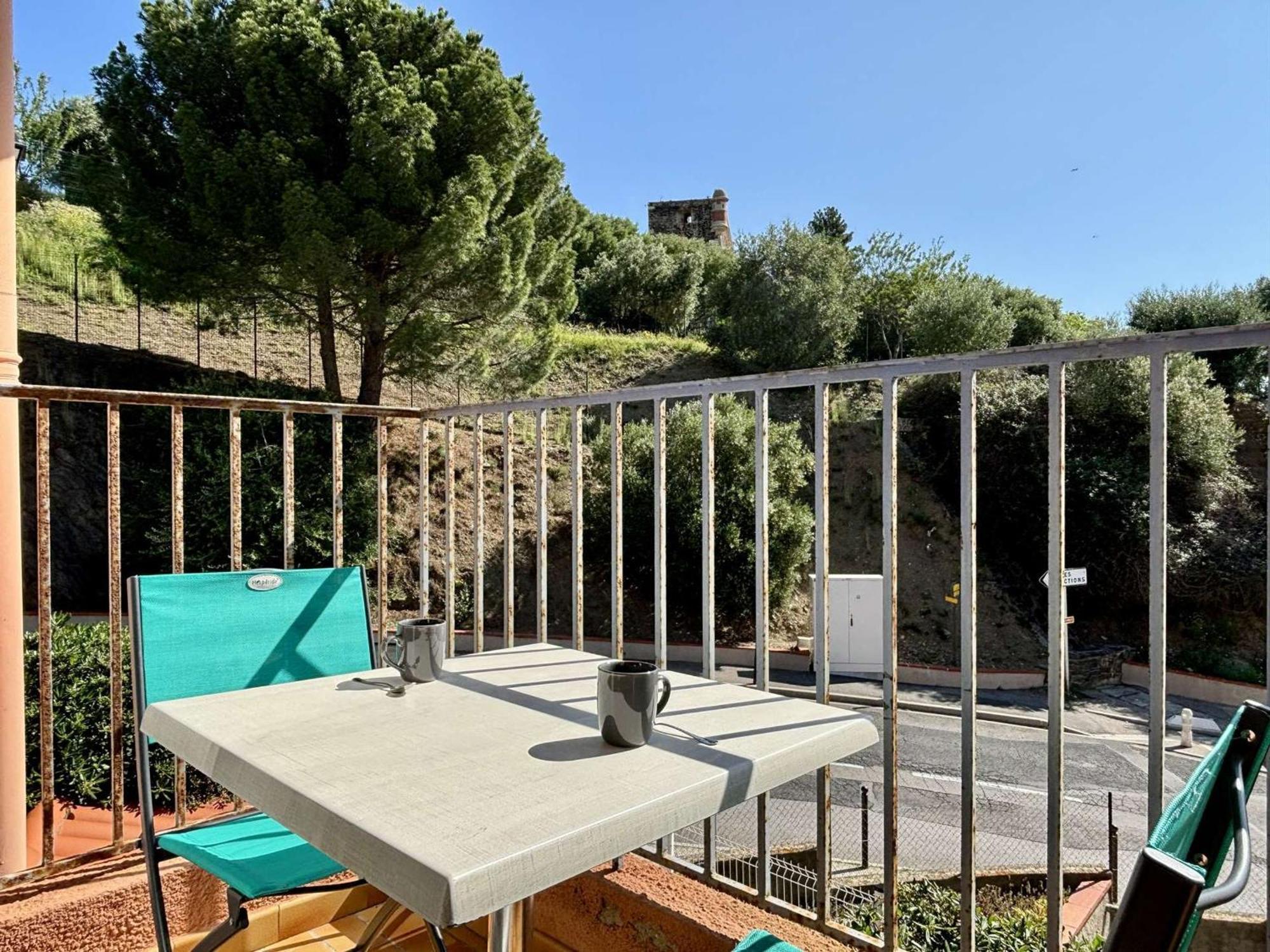 Coquet A Collioure, Proche Plage, Parking Privatif, Animaux Acceptes, Menage Inclus - Fr-1-225-817 Appartement *